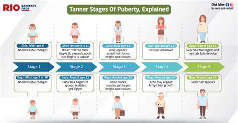 hot teen tits gif|Stages of Puberty Explained in Pictures